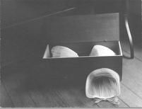 SA0513 - A small box with bonnets.